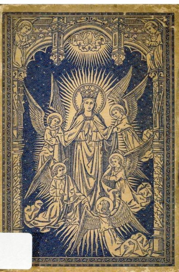 Estrelas para a tua Fronte - 800 EGO